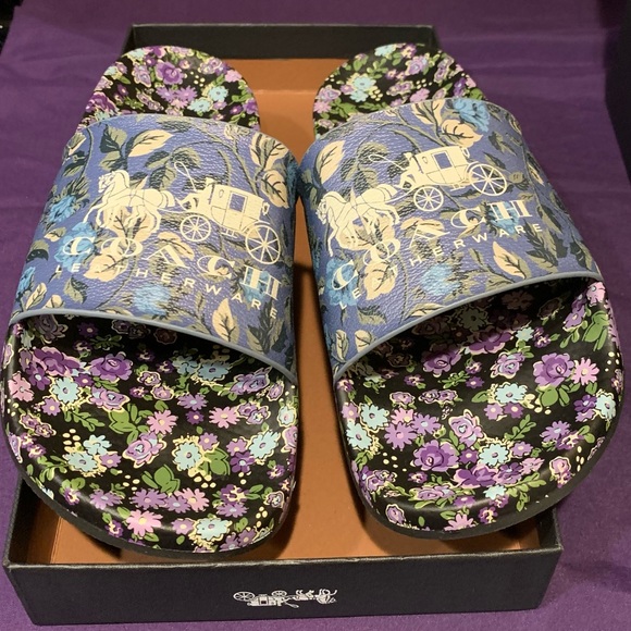 NIB Coach Udele Spirit Rise Print - Picture 1 of 5